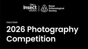 ROYAL ENTOMOLOGICAL SOCIETY 2026 INSECT PHOTOGRAPHY COMPETITION