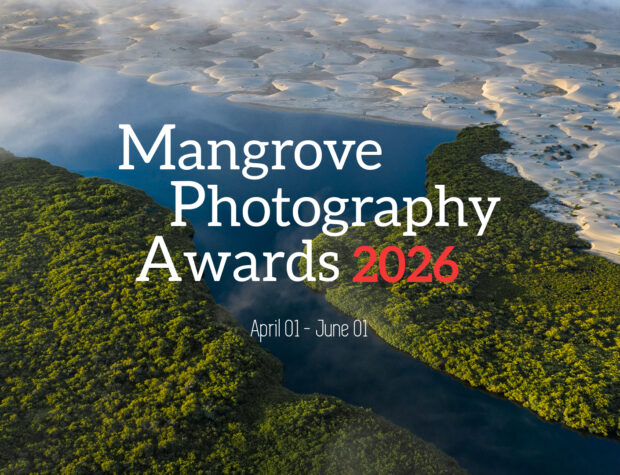 Mangrove Photography Awards Mangrove Photography Awards