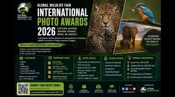 Wildlife Photography Competition 2026 – The Web of Life